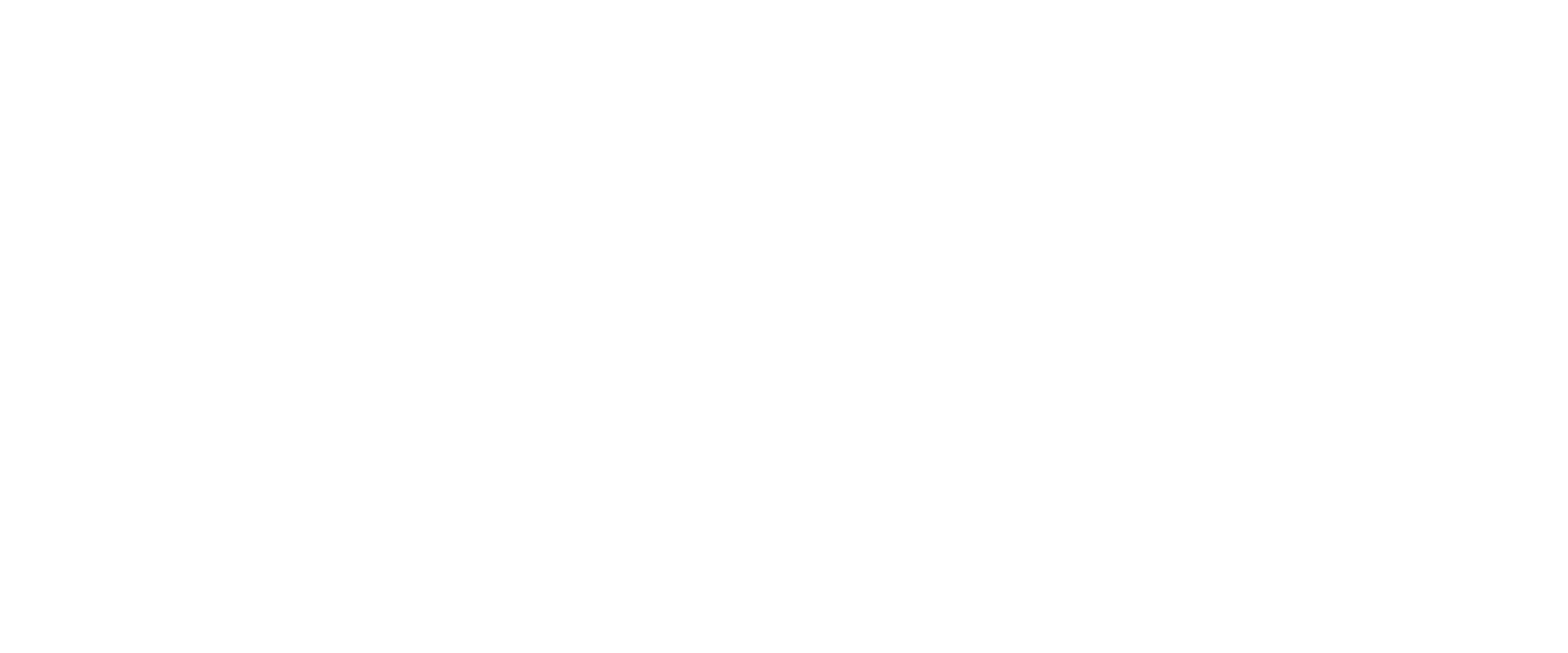 Company Commander